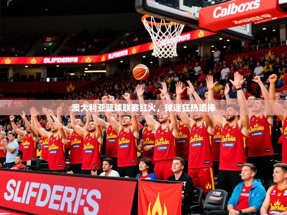 2025安博体育在线登录澳大利亚篮球联赛红火,球迷狂热追捧 第3张