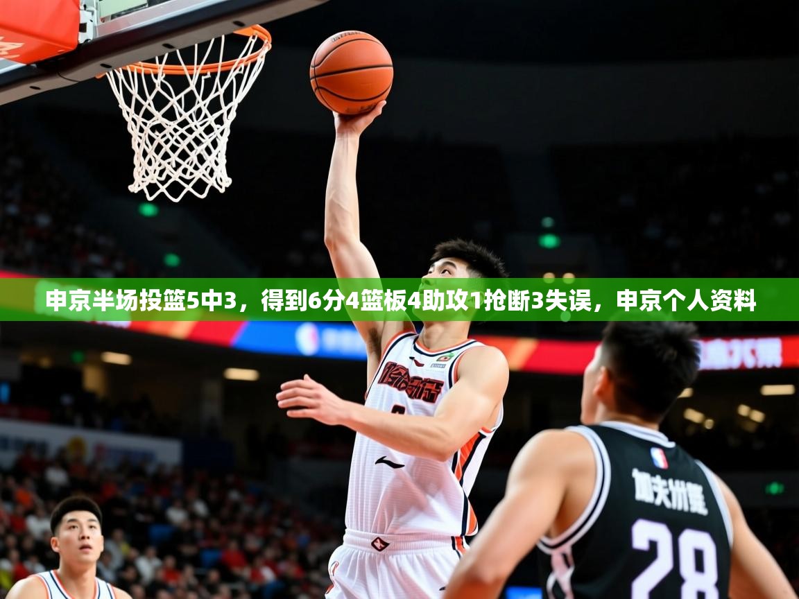 2025安博体育app申京半场投篮5中3，得到6分4篮板4助攻1抢断3失误，申京个人资料  第1张