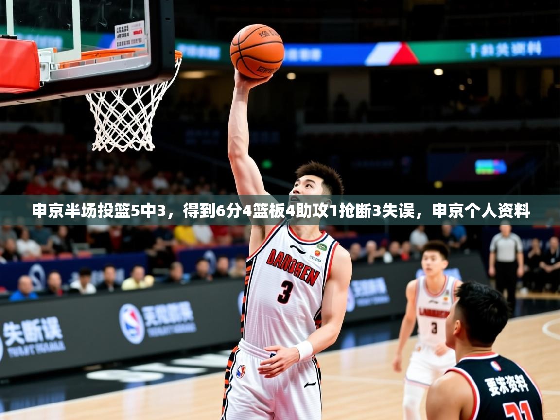 2025安博体育app申京半场投篮5中3，得到6分4篮板4助攻1抢断3失误，申京个人资料  第4张