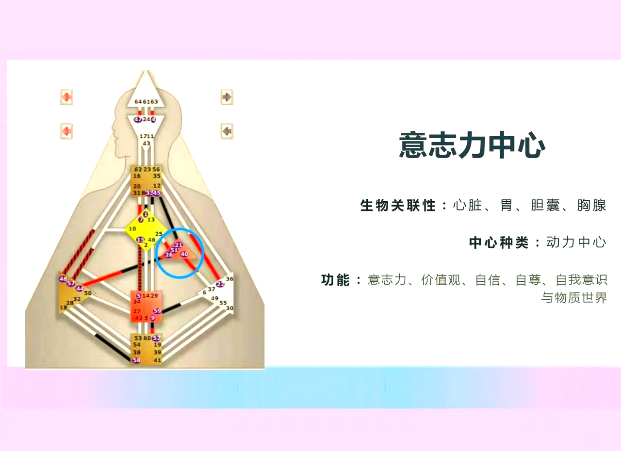 安博体育网页版-关于里尔主帅感慨球员拼搏精神，赞扬磨砺意志力的信息