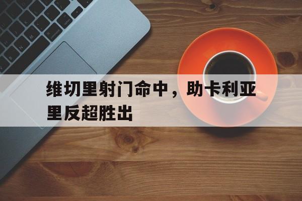 安博体育网页版-维切里射门命中，助卡利亚里反超胜出的简单介绍